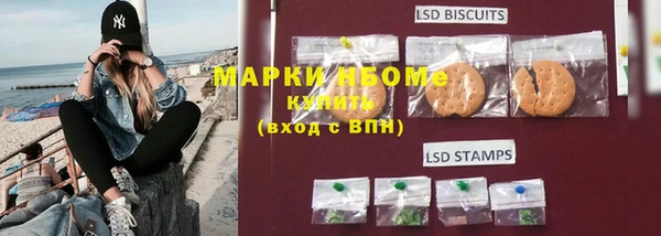 ECSTASY Алзамай