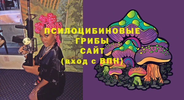 ECSTASY Алзамай