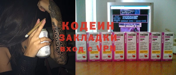 ECSTASY Алзамай